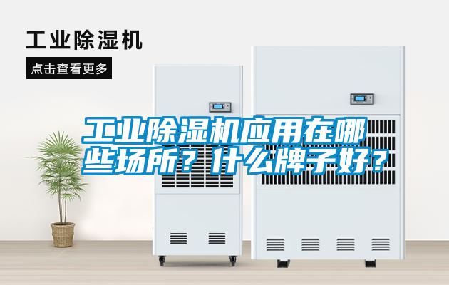 工業(yè)除濕機(jī)應(yīng)用在哪些場所？什么牌子好？