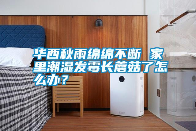 華西秋雨綿綿不斷 家里潮濕發(fā)霉長蘑菇了怎么辦？