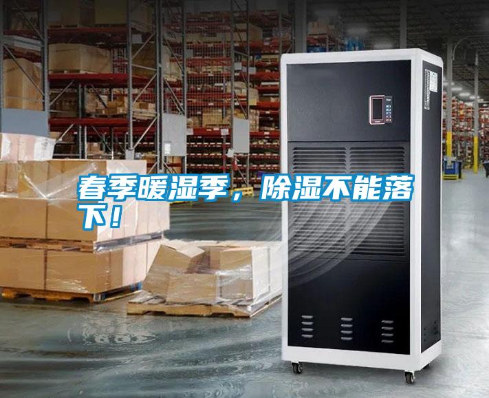 春季暖濕季，除濕不能落下！