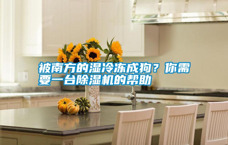 被南方的濕冷凍成狗？你需要一臺除濕機的幫助