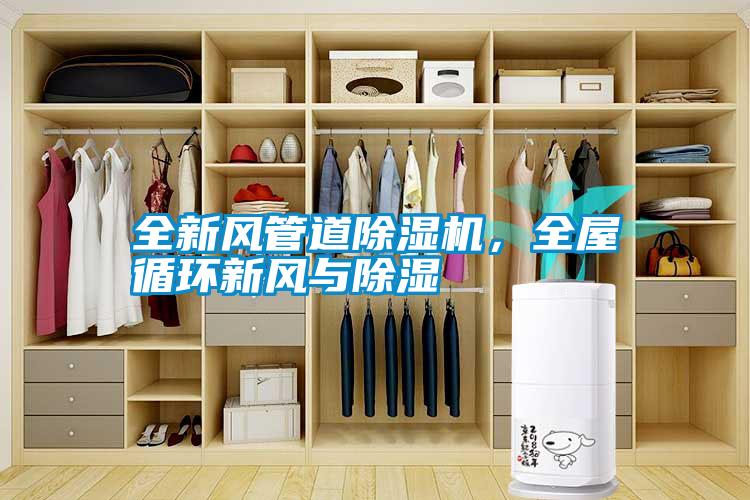 全新風(fēng)管道除濕機，全屋循環(huán)新風(fēng)與除濕