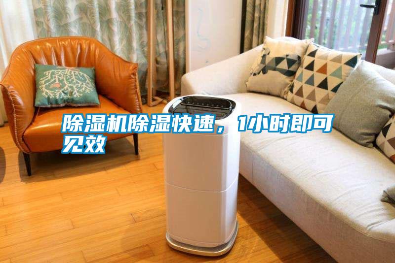 除濕機除濕快速，1小時即可見效