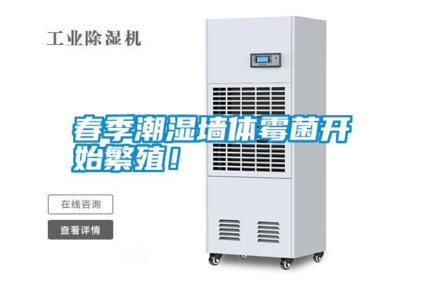 春季潮濕墻體霉菌開始繁殖！