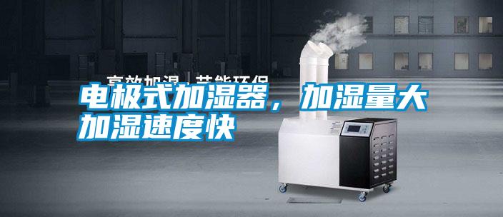 電極式加濕器，加濕量大加濕速度快