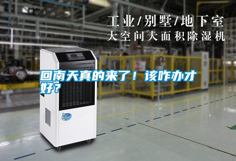 回南天真的來了！該咋辦才好？