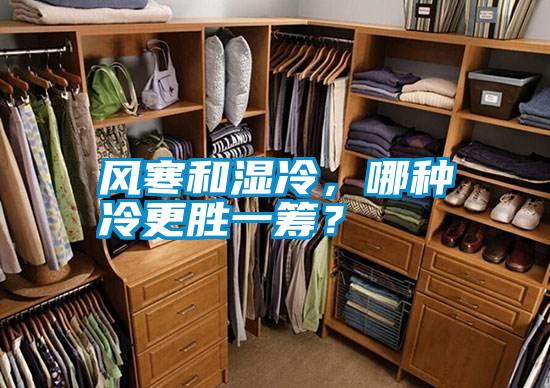 風(fēng)寒和濕冷，哪種冷更勝一籌？