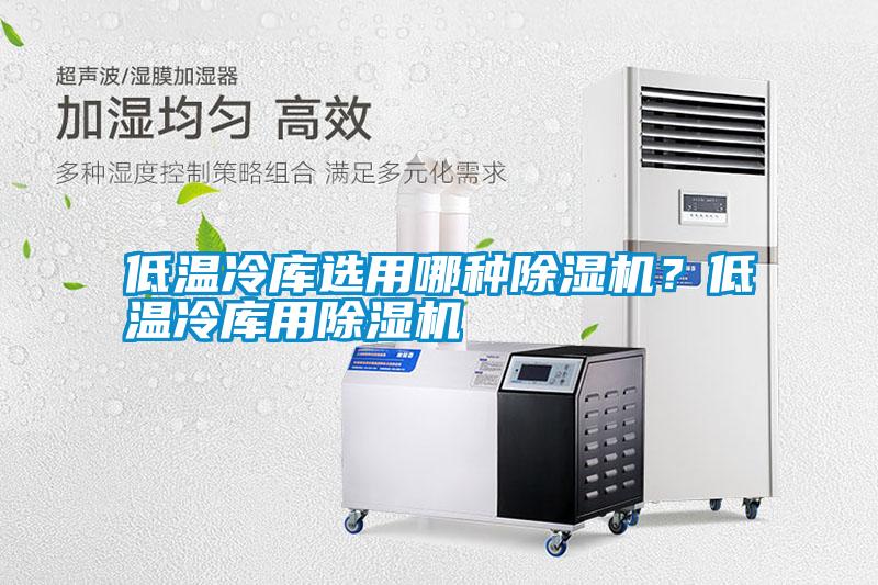 低溫冷庫(kù)選用哪種除濕機(jī)？低溫冷庫(kù)用除濕機(jī)