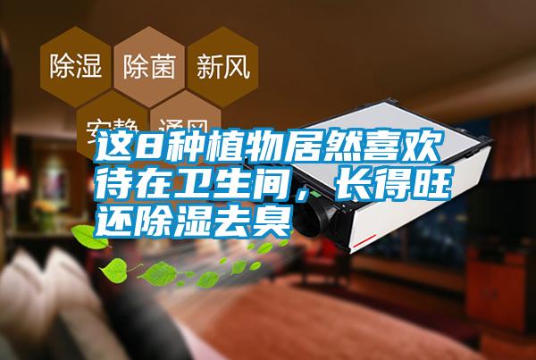 這8種植物居然喜歡待在衛(wèi)生間，長(zhǎng)得旺還除濕去臭