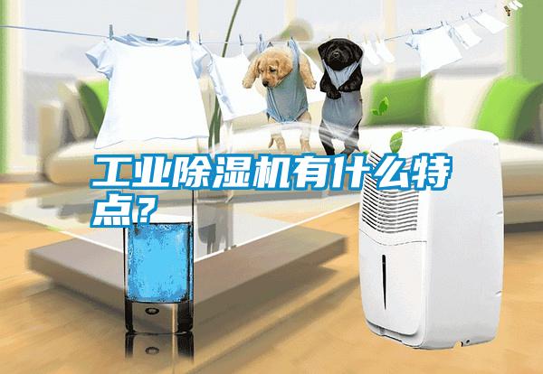 工業(yè)除濕機(jī)有什么特點(diǎn)？