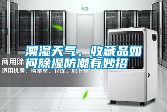 潮濕天氣，收藏品如何除濕防潮有妙招