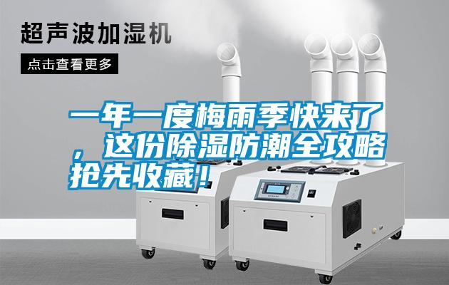 一年一度梅雨季快來了，這份除濕防潮全攻略搶先收藏！