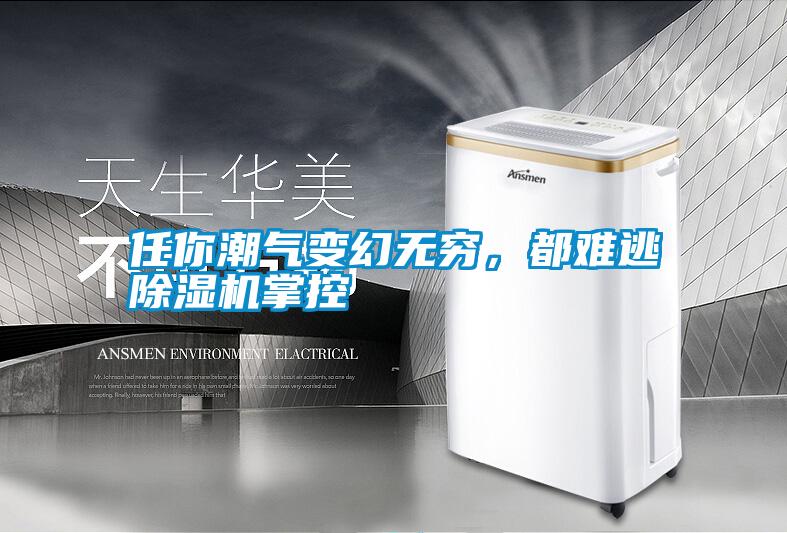 任你潮氣變幻無窮，都難逃除濕機(jī)掌控
