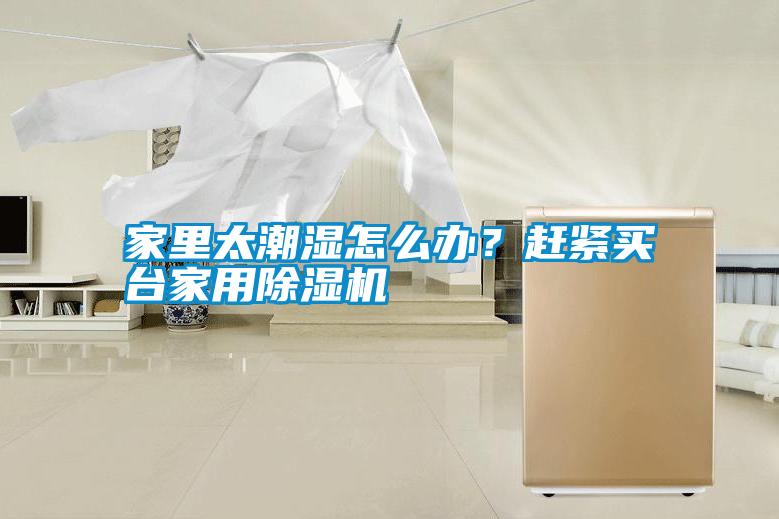 家里太潮濕怎么辦？趕緊買臺家用除濕機