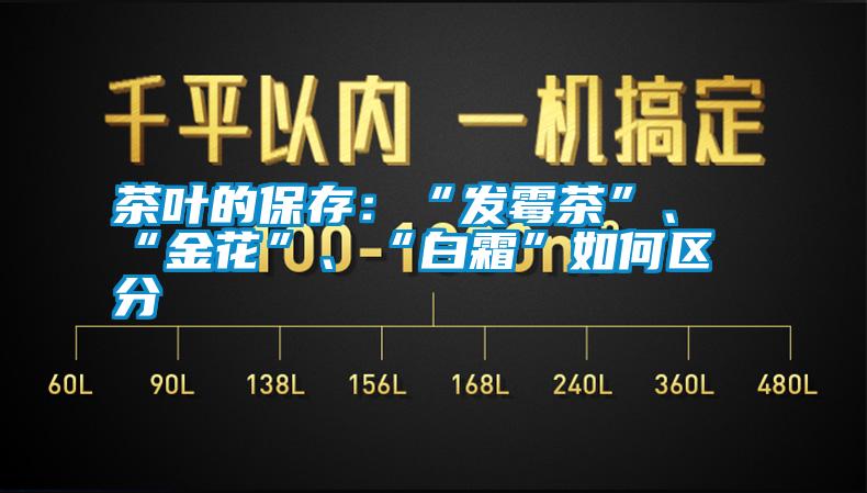 茶葉的保存：“發(fā)霉茶”、“金花”、“白霜”如何區(qū)分