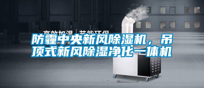 防霾中央新風(fēng)除濕機，吊頂式新風(fēng)除濕凈化一體機