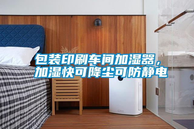包裝印刷車間加濕器，加濕快可降塵可防靜電