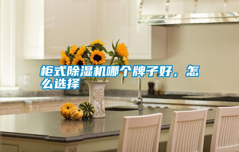 柜式除濕機(jī)哪個牌子好，怎么選擇