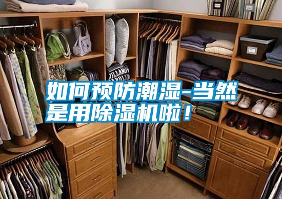 如何預防潮濕-當然是用除濕機啦！