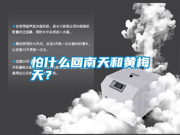 怕什么回南天和黃梅天？