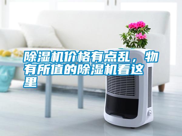 除濕機(jī)價(jià)格有點(diǎn)亂，物有所值的除濕機(jī)看這里