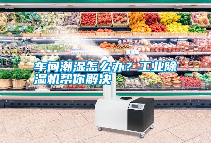 車間潮濕怎么辦？工業(yè)除濕機幫你解決