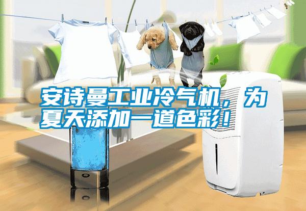 安詩(shī)曼工業(yè)冷氣機(jī)，為夏天添加一道色彩！