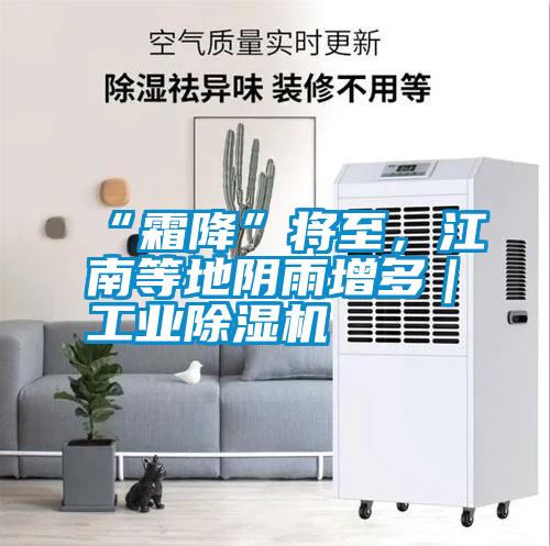 “霜降”將至，江南等地陰雨增多｜工業(yè)除濕機(jī)