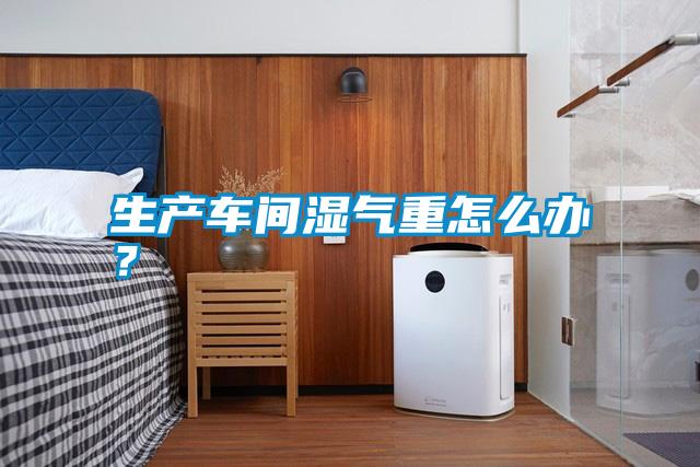 生產(chǎn)車間濕氣重怎么辦？