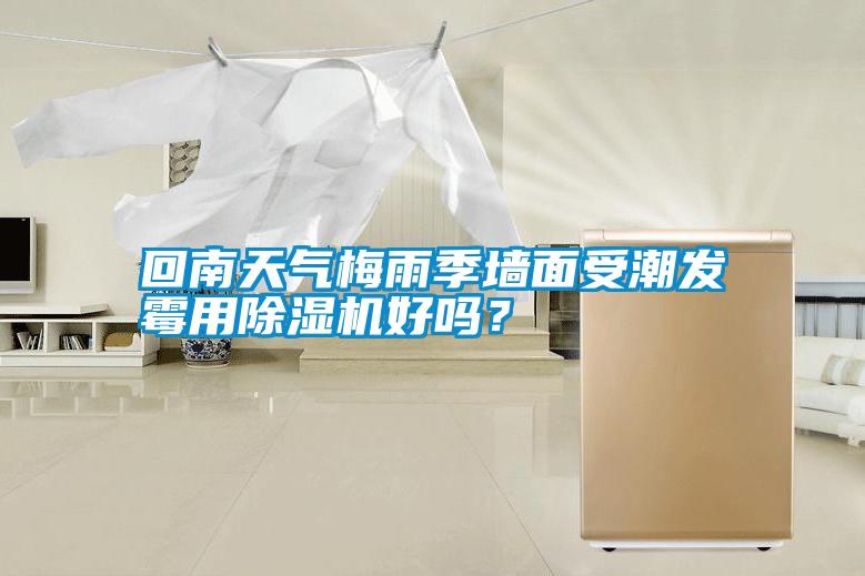 回南天氣梅雨季墻面受潮發(fā)霉用除濕機(jī)好嗎？