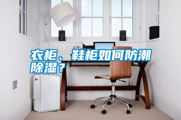 衣柜、鞋柜如何防潮除濕？