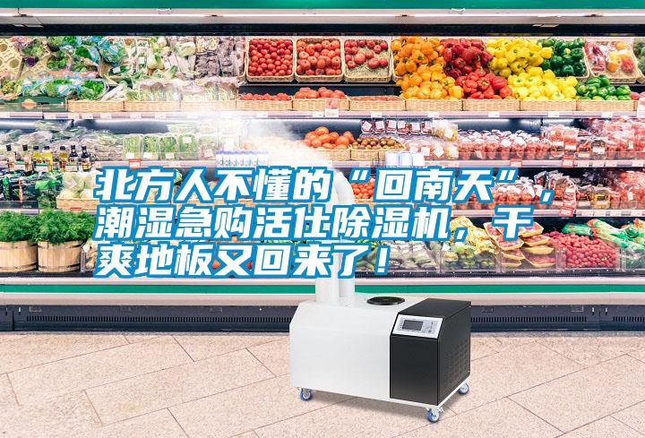 北方人不懂的“回南天”，潮濕急購活仕除濕機，干爽地板又回來了！
