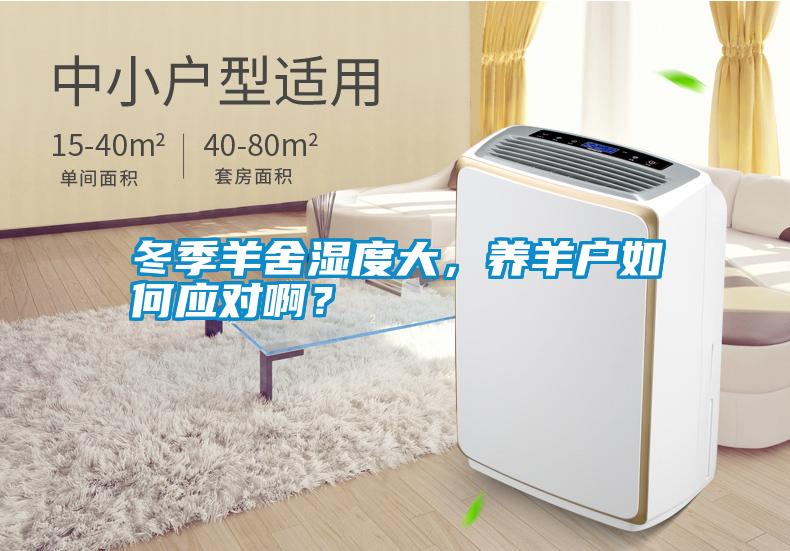冬季羊舍濕度大，養(yǎng)羊戶如何應對??？