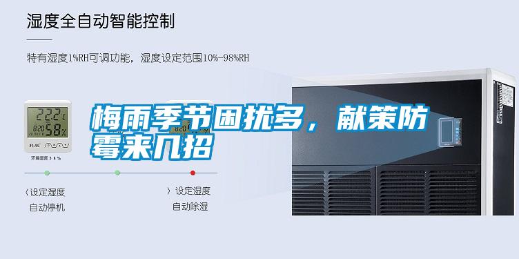 梅雨季節(jié)困擾多，獻策防霉來幾招