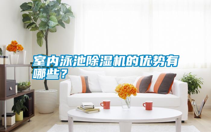 室內(nèi)泳池除濕機的優(yōu)勢有哪些？