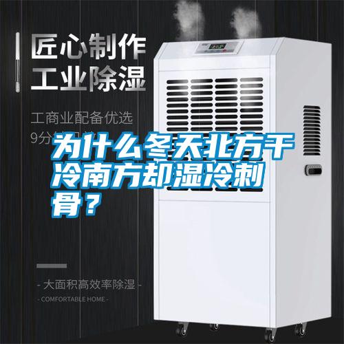 為什么冬天北方干冷南方卻濕冷刺骨？