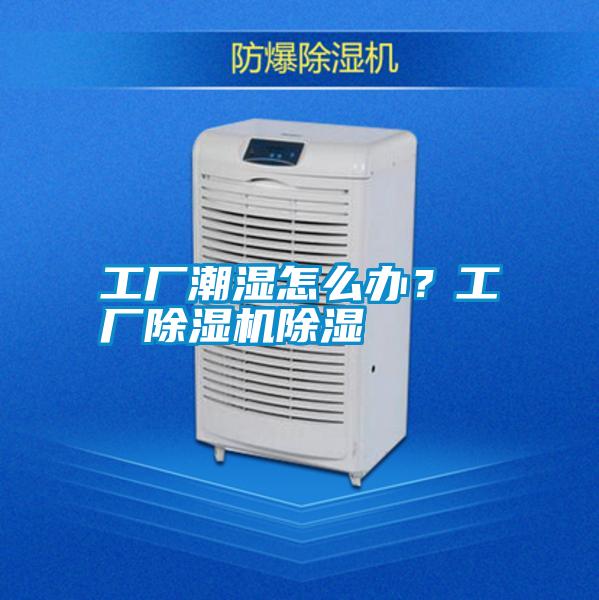 工廠潮濕怎么辦？工廠除濕機除濕