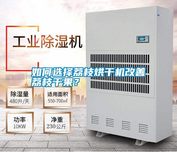 如何選擇荔枝烘干機(jī)改善荔枝干果？