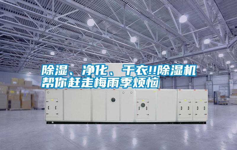 除濕、凈化、干衣!!除濕機幫你趕走梅雨季煩惱