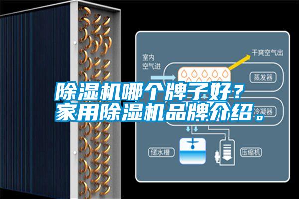 除濕機哪個牌子好？家用除濕機品牌介紹。