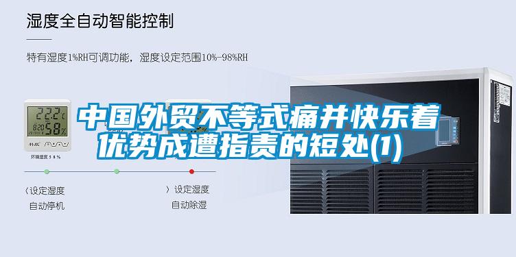 中國(guó)外貿(mào)不等式痛并快樂(lè)著 優(yōu)勢(shì)成遭指責(zé)的短處(1)
