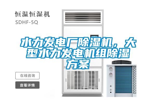 水力發(fā)電廠除濕機(jī)，大型水力發(fā)電機(jī)組除濕方案