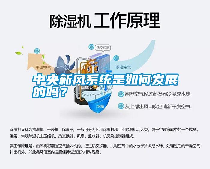 中央新風系統是如何發(fā)展的嗎？