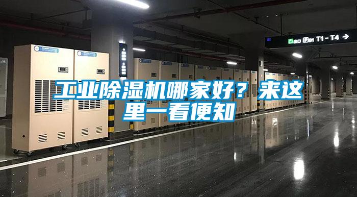 工業(yè)除濕機(jī)哪家好？來這里一看便知