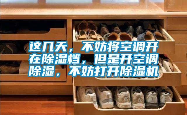 這幾天，不妨將空調(diào)開在除濕檔，但是開空調(diào)除濕，不妨打開除濕機(jī)