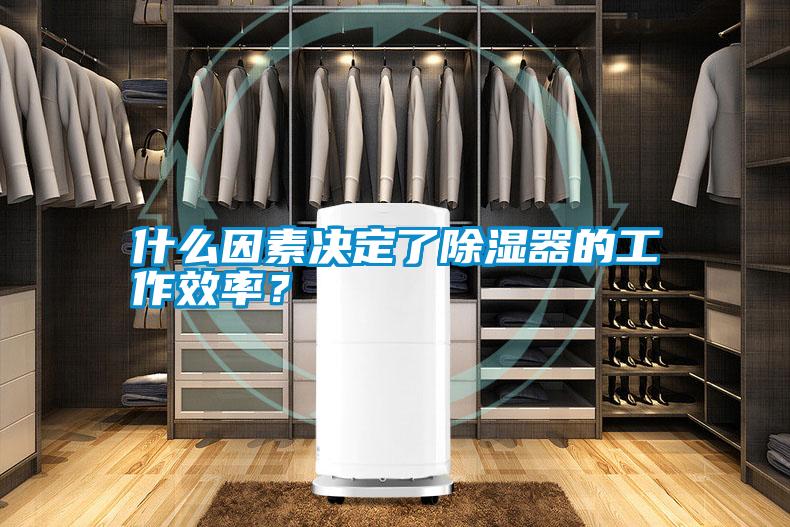 什么因素決定了除濕器的工作效率？