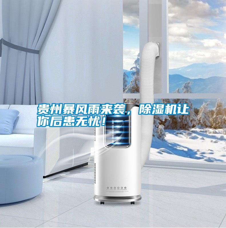貴州暴風(fēng)雨來襲，除濕機讓你后患無憂！