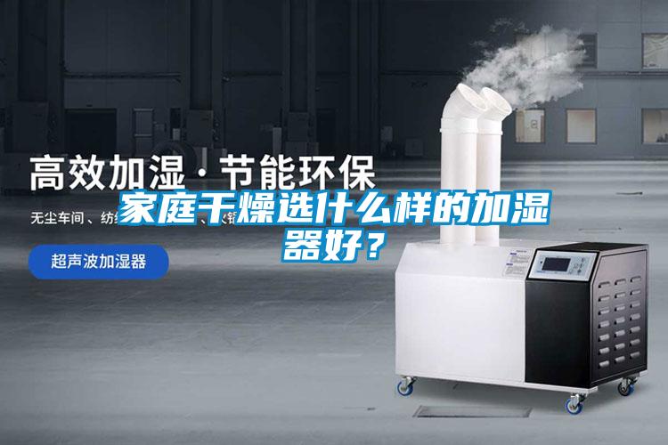 家庭干燥選什么樣的加濕器好？