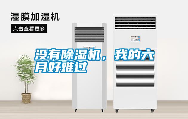 沒有除濕機(jī)，我的六月好難過