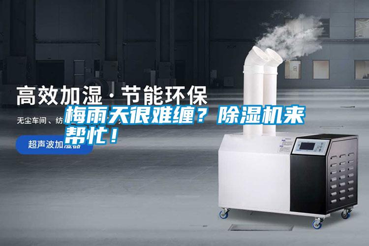 梅雨天很難纏？除濕機來幫忙！