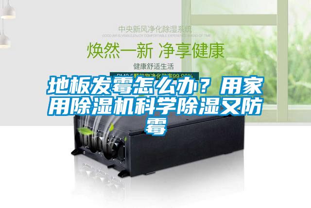 地板發(fā)霉怎么辦？用家用除濕機科學除濕又防霉